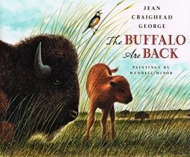 Cover art for The Buffalo Are Back