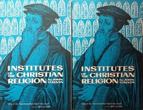 Cover art for Institutes of the Christian Religion (2 Volumes)
