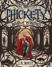 Cover art for Well of Witches (The Thickety)
