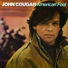 Cover art for American Fool [LP]