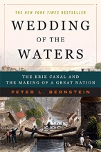 Cover art for Wedding of the Waters: The Erie Canal and the Making of a Great Nation