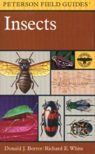Cover art for A Field Guide to Insects: America North of Mexico (Peterson Field Guide Series)