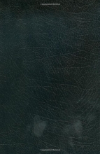 Cover art for NVI/NIV Biblia Bilingue Imitacin Negro