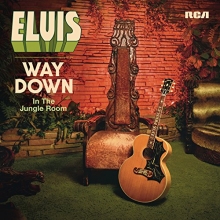 Cover art for Way Down in the Jungle Room