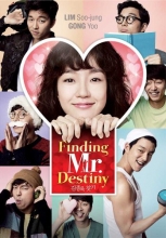 Cover art for Finding Mr. Destiny 