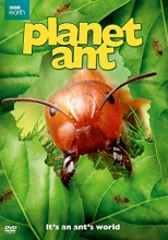 Cover art for Planet Ant
