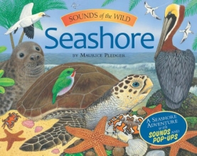 Cover art for Sounds of the Wild: Seashore (Pledger Sounds)