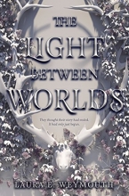 Cover art for The Light Between Worlds