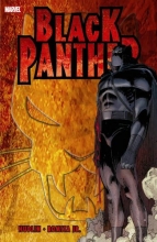 Cover art for Black Panther: Who Is the Black Panther