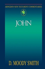 Cover art for John (Abingdon New Testament Commentaries)