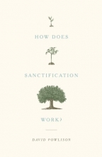 Cover art for How Does Sanctification Work?