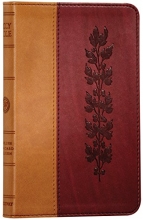 Cover art for ESV Compact Bible (TruTone, Tan/Burgundy, Vine Design)