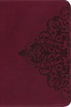 Cover art for Holy Bible: New International Version, Cranberry, Italian Duo-Tone, Single-Column,