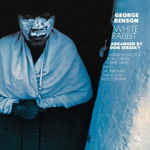 Cover art for White Rabbit
