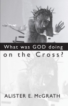 Cover art for What Was God Doing on the Cross?: