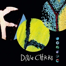Cover art for Fly