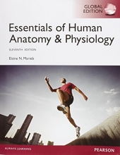 Cover art for Essentials of Anatomy and Physiology