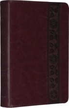 Cover art for ESV Personal Size Reference Bible (TruTone, Mahogany, Trellis Design)