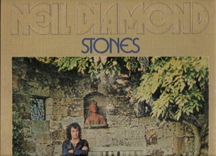 Cover art for Stones