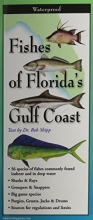 Cover art for Fishes of the Floridas Gulf Coast (Foldingguides)