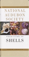 Cover art for National Audubon Society Field Guide to North American Seashells (National Audubon Society Field Guides)