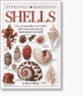 Cover art for DK Handbooks: Shells