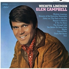 Cover art for Wichita Lineman [LP]