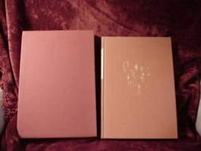 Cover art for The Dead Sea Scrolls in English