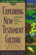 Cover art for Exploring New Testament Culture (World Explorer)