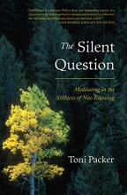 Cover art for The Silent Question: Meditating in the Stillness of Not-Knowing