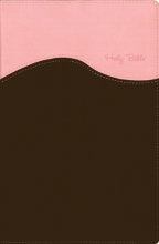 Cover art for NIV Gift Bible