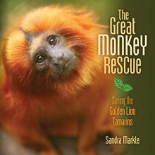 Cover art for The Great Monkey Rescue: Saving the Golden Lion Tamarins (Sandra Markle's Science Discoveries)