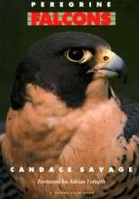 Cover art for Peregrine Falcons