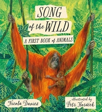 Cover art for Song of the Wild: A First Book of Animals