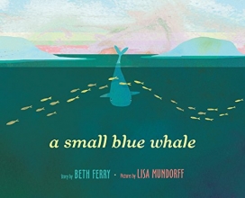 Cover art for A Small Blue Whale