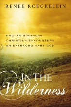 Cover art for In The Wilderness: How An Ordinary Christian Encounters an Extraordinary God