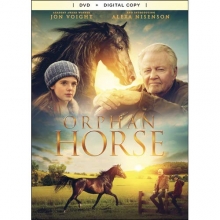 Cover art for Orphan Horse