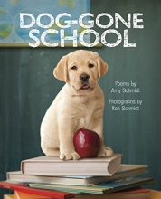 Cover art for Dog-Gone School