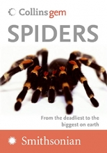 Cover art for Spiders (Collins Gem)