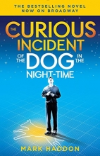 Cover art for The Curious Incident of the Dog in the Night-Time: (Broadway Tie-in Edition) (Vintage Contemporaries)
