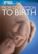 Cover art for From Conception to Birth
