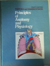 Cover art for Principles of Anatomy and Physiolgy: Fourth Edition