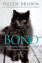 Cover art for Bono: The Amazing Story of a Rescue Cat Who Inspired a Community