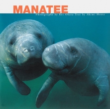 Cover art for Manatee
