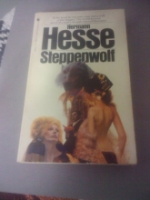 Cover art for Steppenwolf