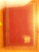 Cover art for Holy Bible: New International Version, Compact, Red Letter Edition, Burgundy