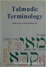Cover art for Talmudic Terminology