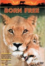 Cover art for Born Free