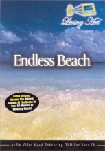 Cover art for Endless Beach