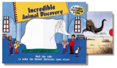 Cover art for Magic Color Skeleton: Incredible Animal Discovery
